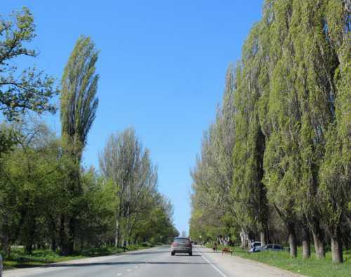 отдых в коктебеле, крым: как добраться, отели, пляжи